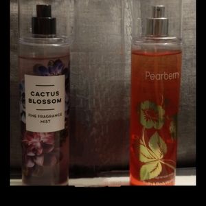 Cactus blossom spray only